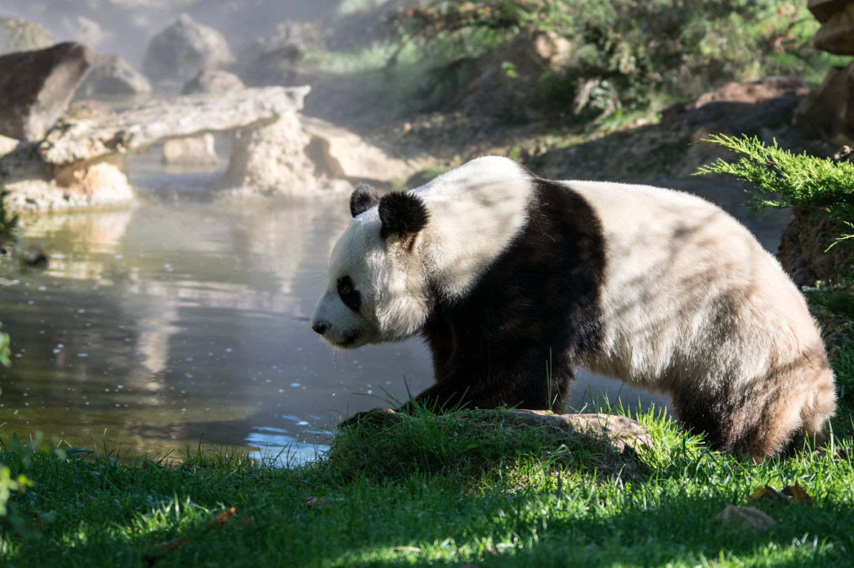 Chengdu